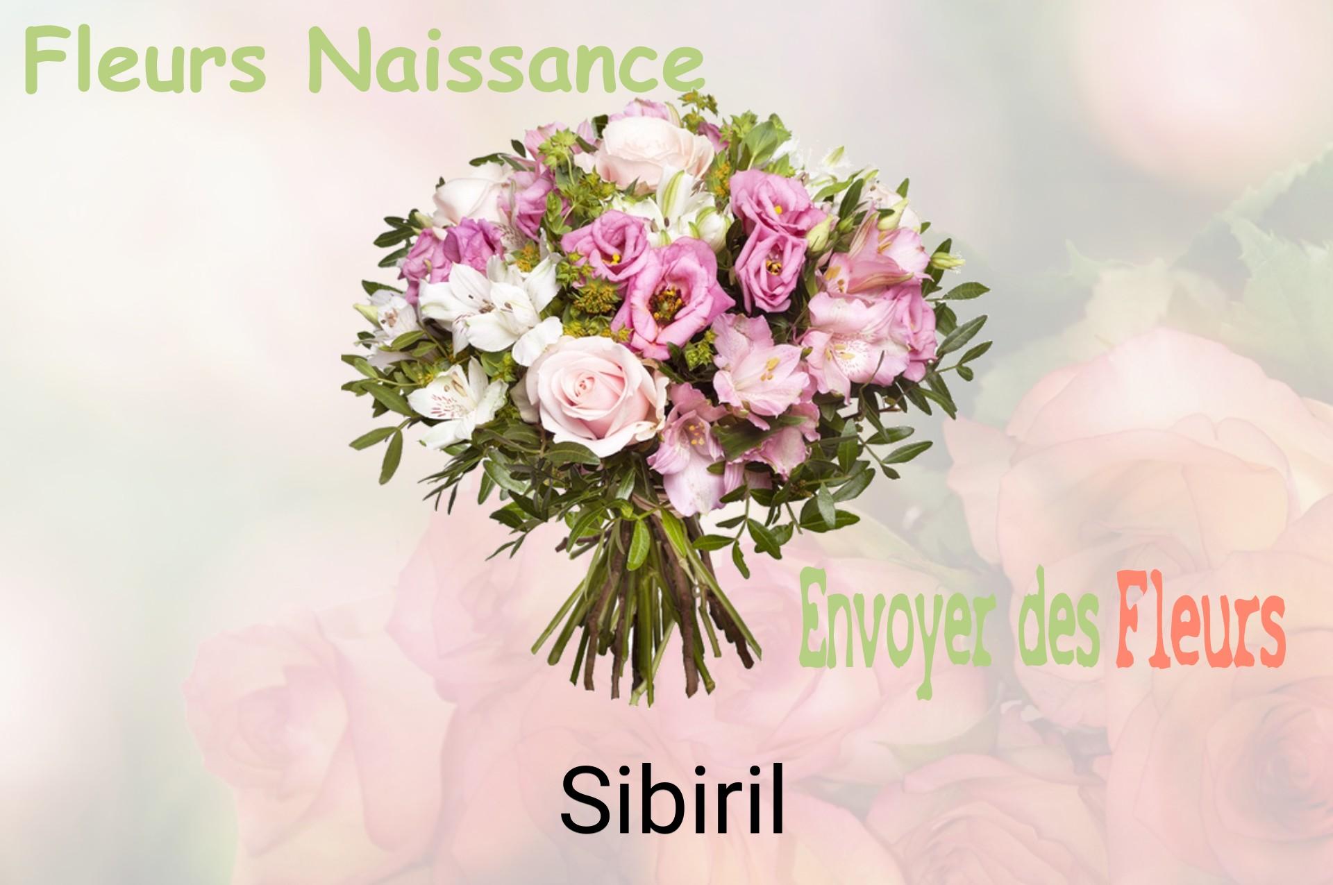 Bouquet de fleurs de naissance livré à Sibiril
