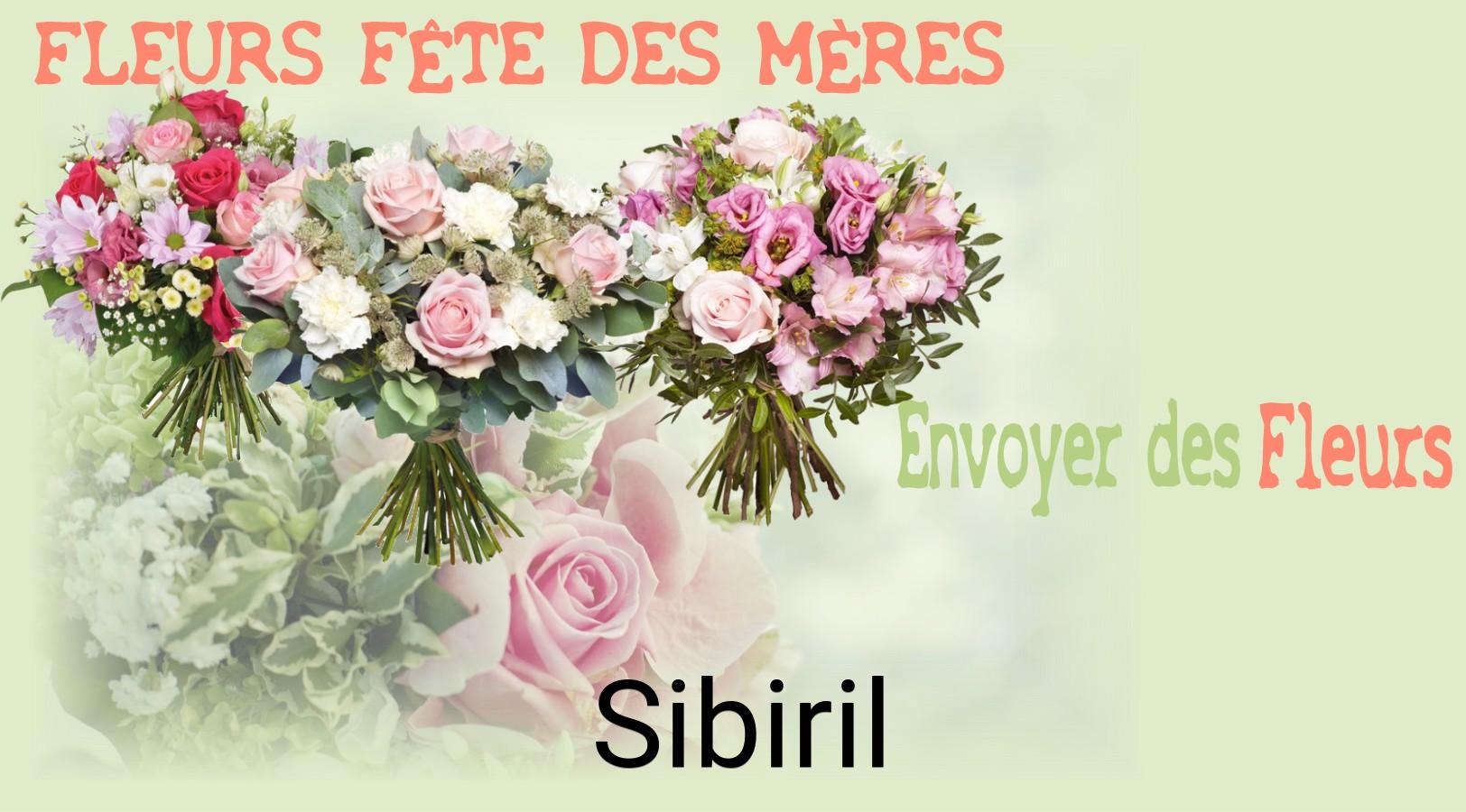 Bouquet de Fête des Mères livré à Sibiril